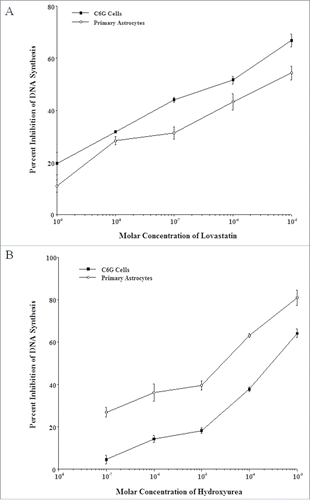 Figure 3. Effects of lovastatin (a) and hydroxyurea (b) on DNA synthesis in C6G cells and primary astrocytes. C6G cells and primary astrocytes were first serum-deprived for 48 hours, then allowed to re-enter the cell cycle through serum up-shift in the presence of graded concentrations of lovastatin and hydroxyurea. [3H]-thymidine was added to the medium one hour prior to the peak of DNA synthesis in both cell cultures (15 hours for C6G cells, 24 hours for primary astrocytes). Incubation of both cell cultures was terminated one hour later, and cell proliferation was measured by the incorporation of [3H]-thymidine into the DNA. All data points are presented as mean ± SEM of three experiments. Fig. 2a: p < 0.05 for 10−9 M; p < 0.001 for 10−7 M; and p < 0.01 for 10−6 M and 10−5 M. 10i9 M, not significant. Fig. 2b: p < 0.001 for all data points.