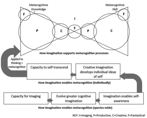 Figure 1. Model of imagination leading to and within metacognition.