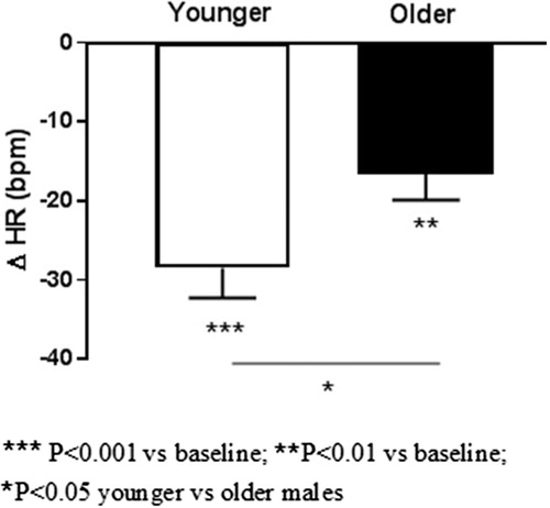 Figure 1. Mean fall in heart rate (HR) after 8 weeks of therapy with betaxolol in younger and older males with hypertension and tachycardia.