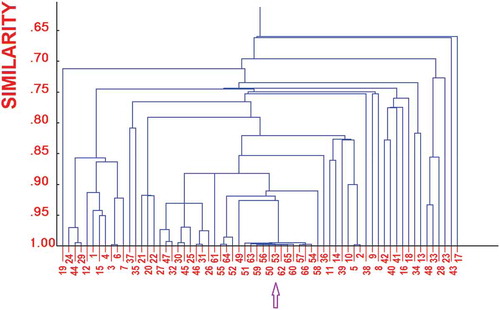 FIGURE 5 Correlation tree among the variables, shown as dendrogram of the similarities (correlation coefficients) obtained by means of the single linkage method. The arrow indicates the group of much correlated variables.