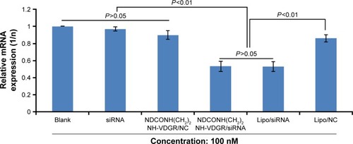 Figure 17 Survivin-mRNA expression of MCF-7 cells treated with NDCONH(CH2)2NH-VDGR/survivin-siRNA. Data are presented as the average ± SD (n=3).Abbreviations: siRNA, small interfering RNA; SD, standard deviation; NC, normal control.