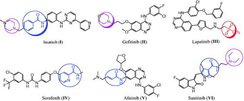 Figure 1. The reported anticancer agents with EGFR and HER2 inhibition activities.