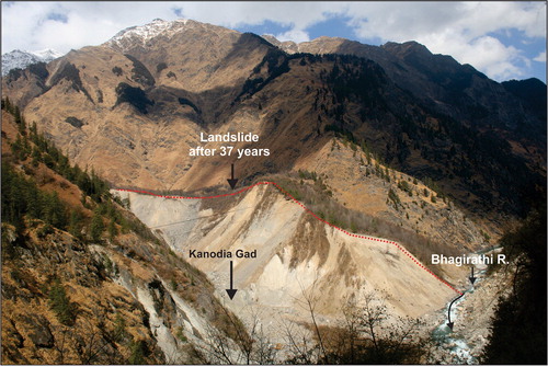 Figure 4. Field photograph of Kanodia Gad Landslide of 1978 that obstructed the Bhagirathi river. Photograph is taken in 2015. Image courtsey: J.P. Panwar