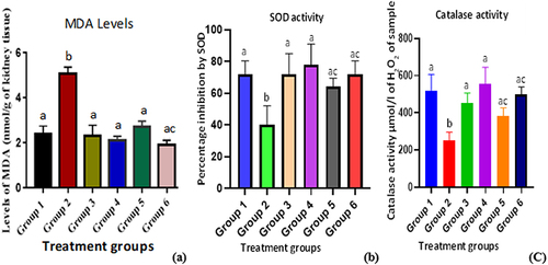 Figure 1 Effect of PG fruit extract on oxidative stress markers of TLD-induced renal damage.
