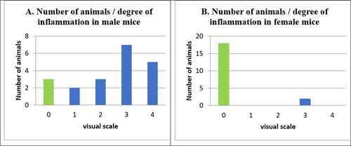 Figure 2. Number of animals and degree of inflammation in male (A) and female (B) mice.
