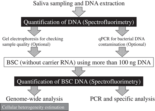 Figure 6. Summary of the recommendations for salivary DNA methylation analysis.