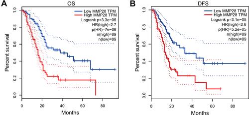 Figure 3 The relationship between high mRNA expression of MMP28 and prognostic survival in PAAD (GEPIA). (A) Overall survival (OS). (B) Disease free survival (DFS).