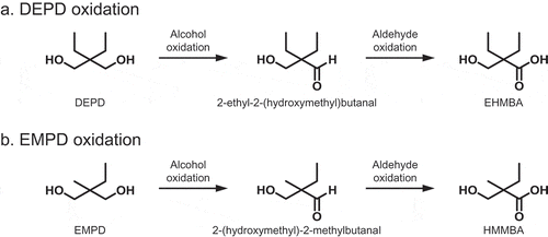 Figure 1. Enzymatic pathways for the oxidation of DEPD (a) or EMPD (b) by whole cells of Rhodococcus sp. 2N.