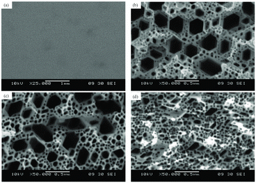 Figure 3. SEM images of different samples: (a) as grown (b) 20 mA/cm2 (c) 40 mA/cm2 and (d) 60 mA/cm2.