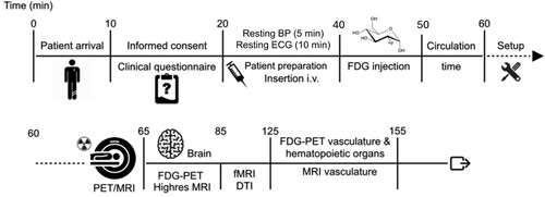 Figure 3. Overview of imaging session.Note. BP = Blood Pressure; ECG = electrocardiogram; FDG = 18F-fluorodeoxyglucose; PET/MRI = positron emission tomography/ magnetic resonance imaging; fMRI = functional magnetic resonance imaging; DTI = diffusion tensor imaging; all neural imaging is performed at rest besides fMRI which is performed with eyes opened with fixation cross and the Hariri task. Timeline of procedures for the 155-minute imaging session. The first 60 minutes of the session includes consent, measure of autonomic function, participant preparation and set-up followed by FDG-PET/MRI brain and peripheral imaging.