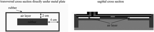 Figure 4. Transversal and (partial) sagittal cross-section showing the position of the air layer between the metal plate and the rubber frame for the 1H applicator.