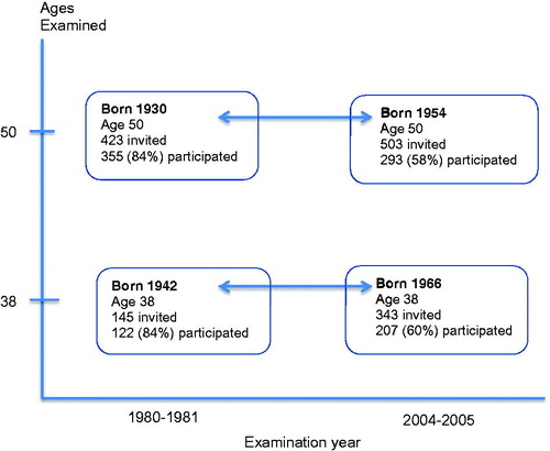 Figure 1. Description of the four 38- and 50-year-old age groups of women examined in the Population Study of Women examinations in 1980–81 and 2004–05, respectively. Year of birth, number of invited women and number of women who participated in the respective examinations.