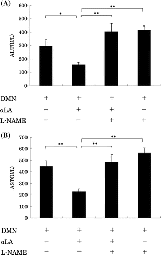 Fig. 4. Effect of αLA on activity of ALT (A) and AST (B) levels in plasma of DMN-treated rats.