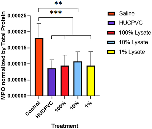 Figure 3 MPO activity in the inflamed paw. MPO levels were measured 48 hours post-induction of inflammation and normalized using total protein (n=6 for control, n=8 for all other groups). ELISA sensitivity = 250–16,000 pg/mL. **p<0.01. ***p<0.001. Data is displayed as mean ± SD. MPO data derived from same mouse hind-paw recorded in edema measurements.