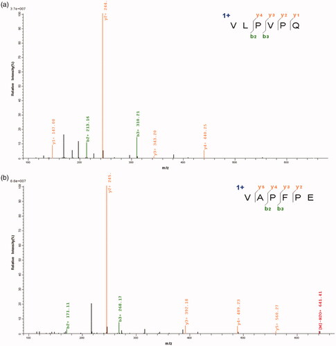 Figure 5. The novel ACE-inhibitory peptides identified by Q-Exactive LC–MS/MS.