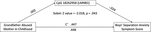 Figure 7. Boys’ separation anxiety symptom score mediation Model (LMNB1).