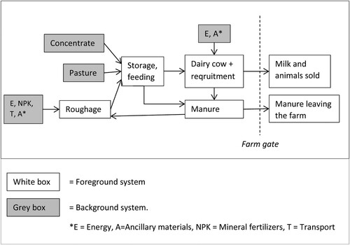 Figure 1. System description.