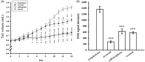 Figure 7.  Effects of various antioxidants on a lymphedema mouse model. (A) Tail volume changes and (B) ascorbyl radical generation were measured after pretreatment with or without each of the following: oryzanol, sulforaphane and sesamol. Data are expressed as the mean ± S.E.M. (n = 4). ***p < 0.001 compared with the lymphedema group.