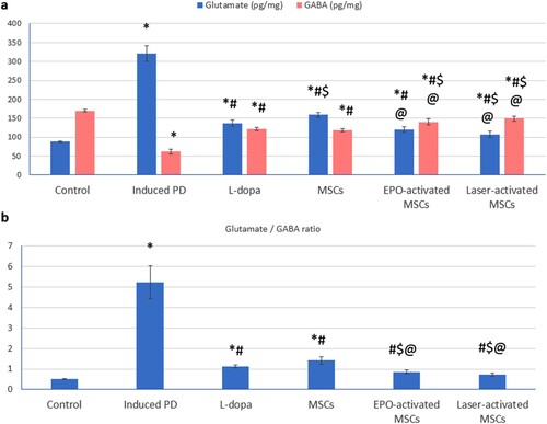 Figure 3. (a, b): (a) Glutamate and gamma-aminobutyric acid (GABA) in substantia nigra tissue homogenate of all studied groups. (b) glutamate/GABA ratio. Values are presented as mean ± SD. *: statistically significant compared to the corresponding value in the control group (P < 0.05), #: statistically significant compared to the corresponding value in the untreated PD group (P < 0.05), $: statistically significant compared to the corresponding value in the L-dopa group (P < 0.05), @: statistically significant compared to the corresponding value in the MSCs group (P < 0.05), &: statistically significant compared to the corresponding value in EPO-activated MSCs group (P < 0.05) (n = 8).