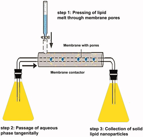 Figure 7. Membrane contactor method to manufacture solid lipid nanoparticles.