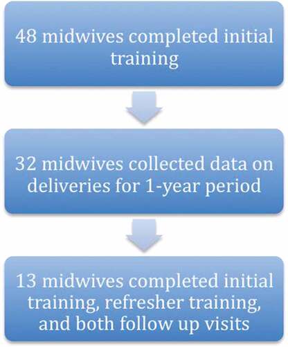 Figure 3. Number of midwives completing components of study.