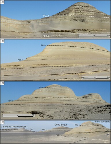 Figure 2. Annotated panoramic views of the stratal architecture in the study area and some of the identified key stratal surfaces. (a) Southward view of the most westward hill at Cerro Las Tres Piramides (14°35′29″S–75°38′45″W) showing the upper portion of the Chilcatay Formation and the overlying lower portion of the Pisco Formation. (b) Southeastward view of the central hill at Cerro Las Tres Piramides (14°35′25″S–75°38′18″W). (c) Southward view of the most eastward hill at Cerro Las Tres Piramides (14°35′55″S–75°38′00″W). (d) Southwestward view from the northern nose of the elongated hill named Cerro Submarino (14°34′38″S–75°39′51″W). Encircled car for scale.