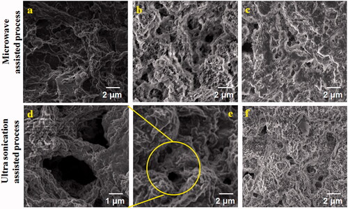 Figure 5. SEM images of the PXAG (a) PXAG-PHB scaffold (b, e) and PXAG-PHB/FFE (c, f) via ultra-sonication method and magnetic stirrer method, respectively. The image: d is the magnified observation of the PXAG-PHB scaffold by the ultra-sonication processes.