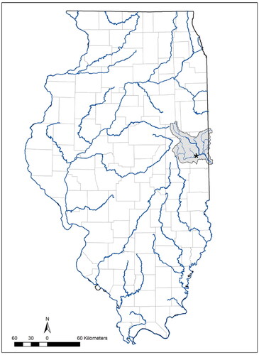Figure 1. The Vermilion River basin (Wabash River drainage), Illinois (highlighted in gray). Star indicates where the Bigeye Chub (Hybopsis amblops) reproductive study was conducted within the Salt Fork Vermilion River sub-basin in 2019 and 2021.