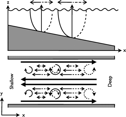 Figure 4. Schematic highlighting how the frictional influence of the coastline can induce a flushing circulation in a shoaling estuary. The ebb and flood phases are shown as dashed and solid lines. The depth controls the magnitude of the oscillating tide. The presence of frictional coastlines induces vorticity of alternating sign. Tidally averaged vorticity at a point is biased by the sign of the vorticity advected from deeper water. The corresponding mean circulation enters the channel along the axis and exits near the coast.