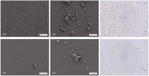 Figure 1. The upper panels show SEM images (two on the left) and a light microscope photo (right) of the 2.5% nicotine formulation. The lower panels show SEM images and a light microscope photo of the 5% nicotine formulation.