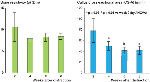 Figure 4. A. Graph showing changes in bone resistivity values. The values decreased substantially from 2 to 4 weeks after completion of distraction and subsequently remained nearly constant. B. Graph showing changes in callus cross-sectional area values. The values decreased over time during callus maturation, reaching a minimum at 6 weeks. Differences were observed between 2 weeks and 4, 6, and 8 weeks. C. Graph showing changes in maximum bending stress values. The values increased over time, and differences were observed between 2 weeks and 4, 6, and 8 weeks, and also between 4 weeks and 6 and 8 weeks. D. Graph showing correlation between callus cross-sectional area and maximum bending stress.
