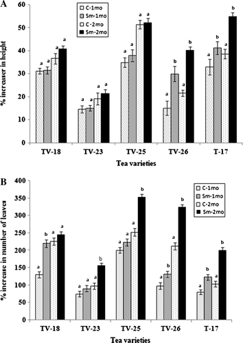 Figure 1.  Increase in height of seedlings (A) and number of leaves (B) of different tea varieties after one and two months of application of S. marcescens in the field. (C = Control; Sm = rhizosphere treated with S. marcescens; 1 mo = 1 month after application; 2 mo = 2 months after application). Different letters above bars indicate significant difference in t-test at p=0.01 between C and 1 mo or C and 2 mo of treatment of each variety.