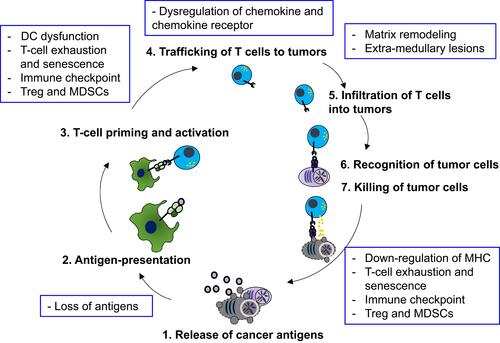 Figure 1 The cancer-immunity cycle in multiple myeloma and its negative regulation. A schematic illustrating seven steps of the cancer-immunity cycle and their negative regulatory mechanisms in multiple myeloma (blue boxes).