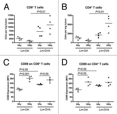 Figure 2. Combination therapy affects the number and activation state of CD4+ and CD8+ tumor-infiltrating T cells. (A-D) To assay the effects of radiation therapy and Listeria monocytogenes (Lm) vaccine combinatorial therapy on tumor-infiltrating lymphocytes, 1 x 105 OVA-expressing B16 cells were injected intramuscularly into the thigh and mice were treated with 0 Gy or 15 Gy on day 7, and Ctrl-Lm or Lm-OVA on day 8. Tumors were excised on day 13, weighed and processed into single cell suspensions by collagenase treatment. (A-B) Tumor-infiltrating lymphocytes were detected by staining with fluorescence-conjugated antibodies for an hour followed by cytofluorimetric analysis. T cells were identified by sequential gating for cells that were CD45+ CD3+ and either CD8+ or CD4+. The number of tumor-infiltrating CD8+ (A) and CD4+ (B) T cells were expressed as cells per mg of each tumor. (C-D) The expression levels of the activation marker CD69 on CD8+ (C) and CD4+ (D) T cells were similarly analyzed by immunofluorescence staining and flow cytometry. Data are shown as mean fluorescence intensity (MFI) values. Statistical significance was evaluated using one-way ANOVA; comparisons that are not labeled with a P value are not significantly different. Data shown are representative of two independent experiments.