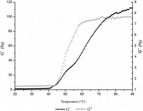 Figure 2. Effect of temperature on G′ and G′′ of myosin gels.Figura 2. Efecto de la temperatura en G′ y G′′ de los geles de miosina.