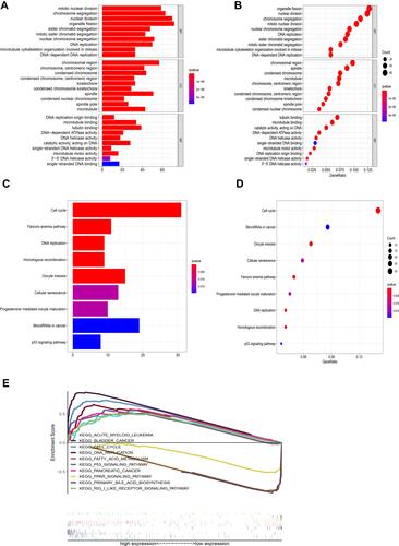 Figure 4 Enrichment plots of GO, KEGG, and GSEA. (A) GO pathways (bar plot); (B) GO pathways (bubble plot); (C) KEGG pathways (bar plot); (D) KEGG pathways (bubble plot); (E) GSEA pathways.