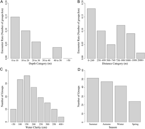 Figure 4 Hector's dolphin encounter rates. A, By depth; B, by distance from shore; C, number of groups of Hector's dolphins sighted in relation to water clarity; D, by season.