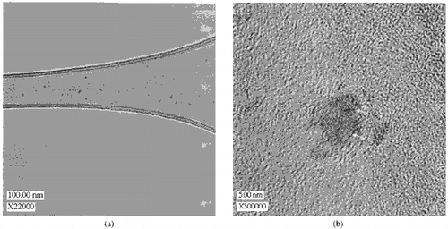 FIG. 6 TEM micrographs of individual exhaust gas particles from a turbo-charged off-road diesel engine sampled at the location presented in Figure 1a. (a) An overview of the typical particles found on the sample presenting particles of about 40 nm in size, (b) a close-up of a typical nucleated primary particle of 5–7 nm in size.