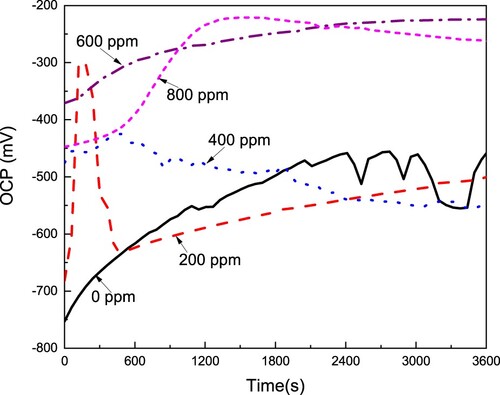 Figure 3. Effect of the CeO2 NPs concentration on the OCP value for LDX 2101 duplex stainless steel in a CO2-saturated 3.5% NaCl solution.