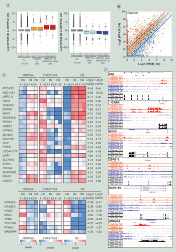 Figure 4.  Genes up- and downregulated upon decidualization accompanied with reciprocal changes of H3K27ac and H3K27me3 levels at their promoter region. (A) Box plot representation of gene expression fold-changes of all 21,753 TSSs, TSSs accompanied with H3K27ac change only (orange and light blue), and TSSs accompanied with reciprocal changes of H3K27ac and H3K27me3 in EM0409 cell series (red and blue). The 21,753 TSSs were selected as those whose FPKM value is greater than 0.3 in one or more of three cell types (D0, D4 and D8). (B) Scatter-plot representation of log2-transformed FPKM values in EM0409_D0 (x-axis) and EM0409_D4 (y-axis) cells. The color assignment for dots and lines is the same as that in panel A. Lines represent the median of log2-transformed FPKM fold-changes of each of subcategories. (C) Heatmap representation of the H3K27ac and H3K27me3 enrichment levels of 23 upregulated and 8 downregulated promoters accompanied with reciprocal changes of H3K27ac and H3K27me3. These were selected as those fulfilling the FPKM log2 fold-change criteria of >4 or <-4. #1 and #2 correspond to EM0409 and EM0519. The heatmap color scales are shown at the bottom. (D) Visualization of histone modification and gene expression alterations for six loci. Read count (per 25bp-window) data (in .tdf format) were created using the count function of IGVtools (https://software.broadinstitute.org/software/igv/igvtools) from the mapped results of ChIP-seq and RNA-seq data (.bam files), and visualized using the Integrative Genomics Viewer (http://software.broadinstitute.org/software/igv/). The asterisk in the panels for WNT4, ZBTB16, HSD11B1 and ADRA2A indicates the approximate position of the genomic interval showing reciprocal changes of H3K27ac and H3K27me3 upon decidualization.TSS: Transcription start site.