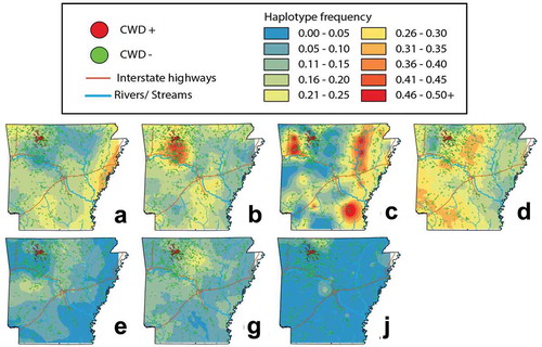 Figure 4. Topographies that represent interpolated haplotype frequencies for the PRNP gene in Arkansas. Frequency is depicted by colour, with blue reflecting low occurrence (0–5%) whereas red indicating 46–50+% of haplotypes were of this type