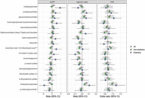 Figure 5. Serum metabolites associated with kidney-related gut microbiome species are predictors of kidney trait progression (N = 3,635). Prospective association of serum metabolites (selected from Figure 4b) with eGFR and UAC ratio progression, and incident CKD. For the continuous outcomes of eGFR and UAC ratio, multivariable linear mixed-effects regression models were used to estimate the effect of inverse-normal transformed metabolites at HCHS/SOL visit 1 on eGFR and UAC ratio progression from HCHS/SOL visit 1 to visit 2, adjusting for the following visit 1 covariates: age, sex, field center, Hispanic/Latino background, U.S. nativity, income, educational attainment, cigarette smoking, alcohol use, AHEI2010, predicted sodium intake, predicted protein intake, protein supplement use, total physical activity, BMI, waist-to-hip ratio, systolic blood pressure, diastolic blood pressure, triglycerides, HDL cholesterol, fasting glucose, hypertension medication, diabetes medication, and lipid-lowering medication. Betas are from the interaction of time x metabolite. For the binary outcome of incident CKD, multivariable logistic regression was used to estimate the effect of inverse-normal transformed metabolites at HCHS/SOL visit 1 on incidence of CKD at visit 2, adjusting for the visit 1 covariates listed above. Analyses were performed in all available participants (n = 3,635), non-diabetics (n = 2,979), and diabetics (n = 656).