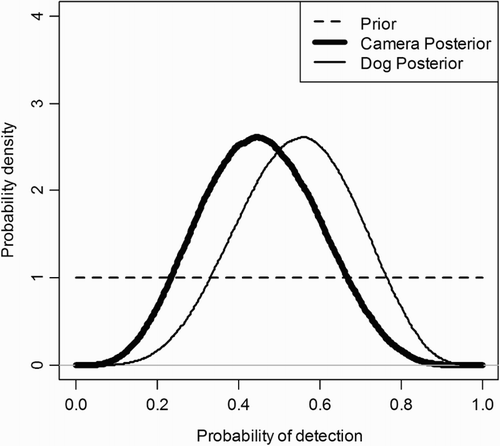 Figure 1. Estimated probability of detection for cats (Felis catus) per search event was similar using camera traps (0.45) or wildlife detector dogs (0.54). Extensive overlap between the posterior distributions indicates no significant difference in probability of detection between the two methods.