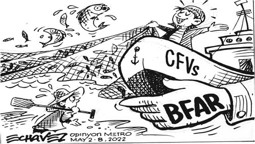 Figure 2. Cartoon depicting the effects of BFAR’s Big Brother-Small Brother program on the relationships between LSF and SSF.Source: Opinyon (Citation2022).