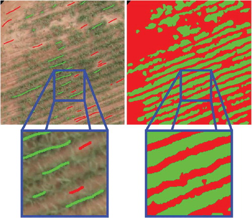 Figure 3. Details of training sugar cane crop images: left image shows some samples selected for training, whereas green = crop row area, and red = soil/inter-row area. Right image illustrate the corresponding ground truth.