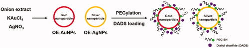 Figure 1. Schematic illustration of green synthesis in the current report.