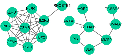 Figure 2 Protein-Protein Interaction (PPI) Network Analysis of DE-OSRGs in AMI. The PPI network, comprised of 17 nodes and 37 edges, represents the interactions among the 27 DE-OSRGs. Key interactions between GZMB and multiple proteins, and S100A12 and a set of proteins, are highlighted.