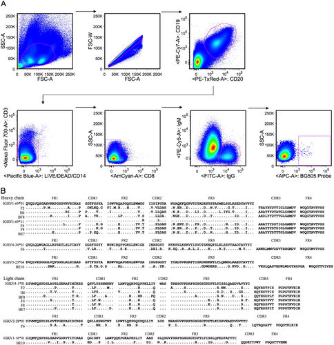 Fig. 1 Identification of eight monoclonal antibodies from a HIV-1 CRF01_AE-infected Chinese donor.a Isolation of antigen-specific single B cells by flow cytometry. Single cells were sorted into a 96-well PCR plate containing lysis buffer according to the presented gating strategy. b Amino acid sequence analysis of monoclonal antibodies with alignment to respective germline genes. The framework region (FR) and complementarity determining region (CDR) were determined based on the program IMGT/V-QUEST. The symbol “.” denotes conserved amino acids