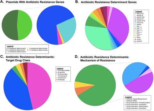 Figure 5. Antibiotic Resistance Determinants in T4SS-encoding Plasmids. (A.) Pie chart denoting the frequency of resistance gene identification. (B.) Pie chart indicating the distribution of antibiotic resistance determinants among the plasmids. (C) Pie chart reflecting the antibiotic resistance determinants from (B) in the context of targeted drug class. (D) Pie chart reflecting the antibiotic resistance determinants from (B) in the context of resistance mechanism.