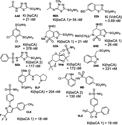 Figure 6. Inhibition data of hpCA (α isoform), bsCA 1, bsCA 2 and VchCA with sulfonamides/sulfamates in clinical useCitation12,Citation13,Citation59,Citation61.